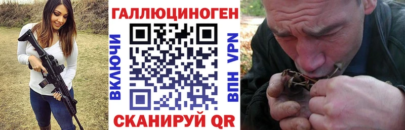 Псилоцибиновые грибы Psilocybine cubensis  Власиха 
